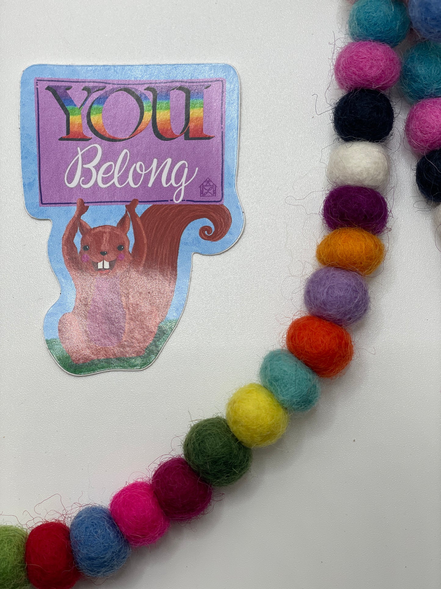 You Belong Squirrel Sticker