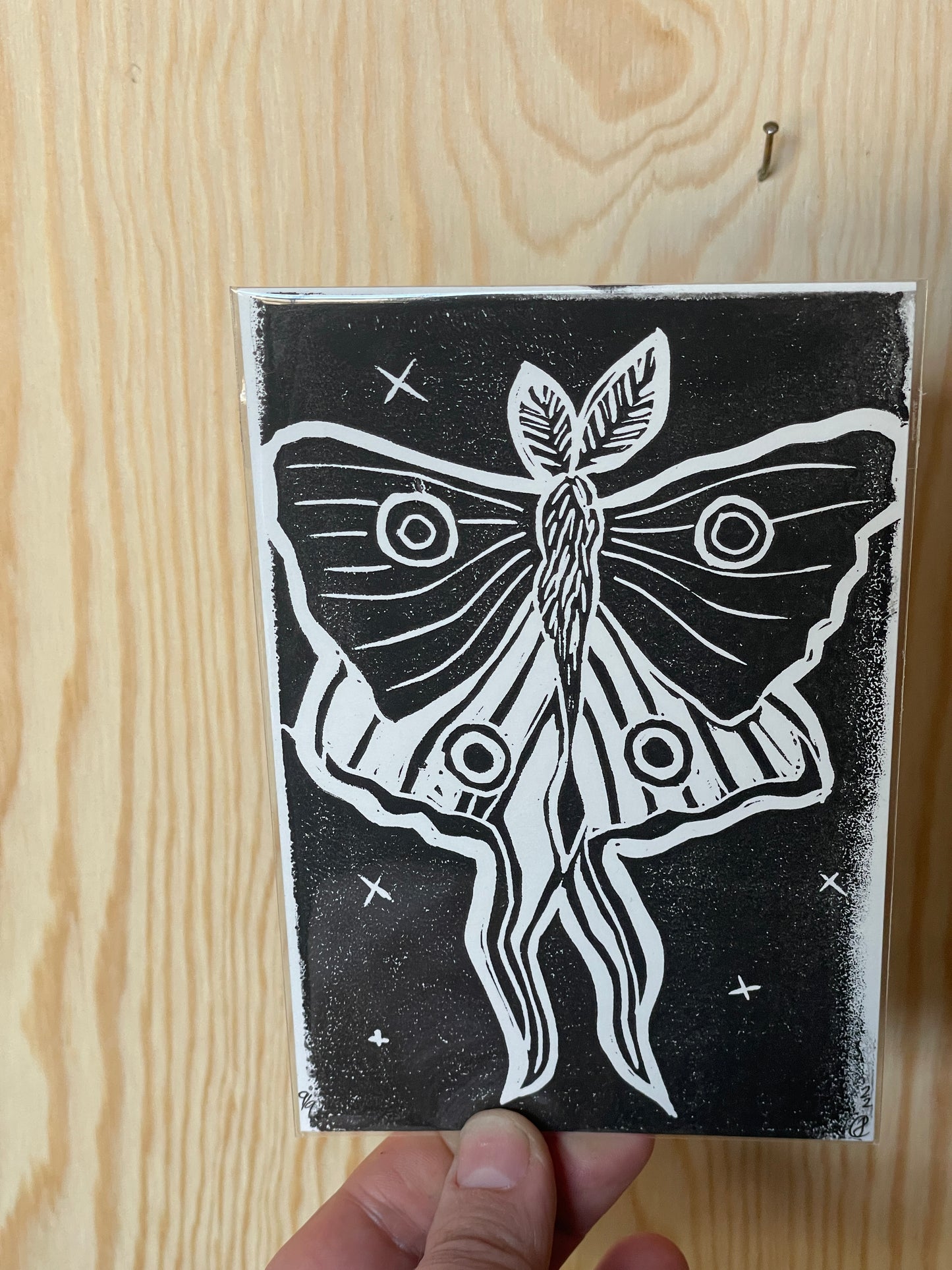 Moth Lino Print