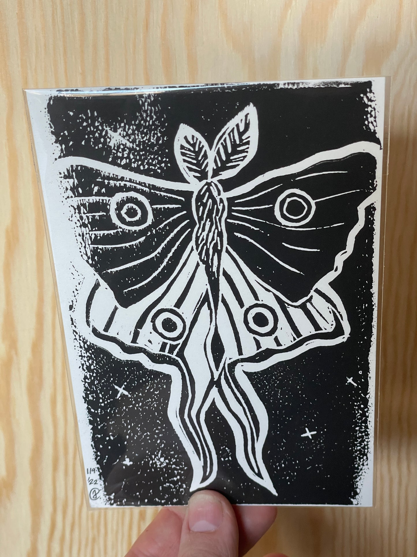 Moth Lino Print