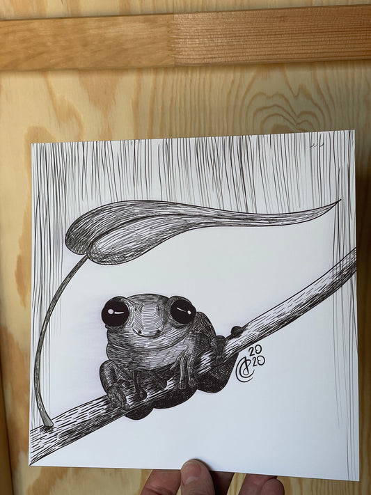 Frog on a Rainy Day Art Print